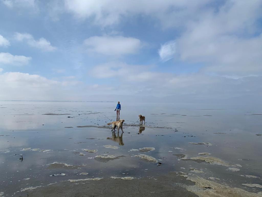 Apartmán Chalet Seemowe Direkt Am Wattenmeer Aan De Waddenzee Nordsee 600 Meter Zum Badestrand, Angeln Westerland Exteriér fotografie